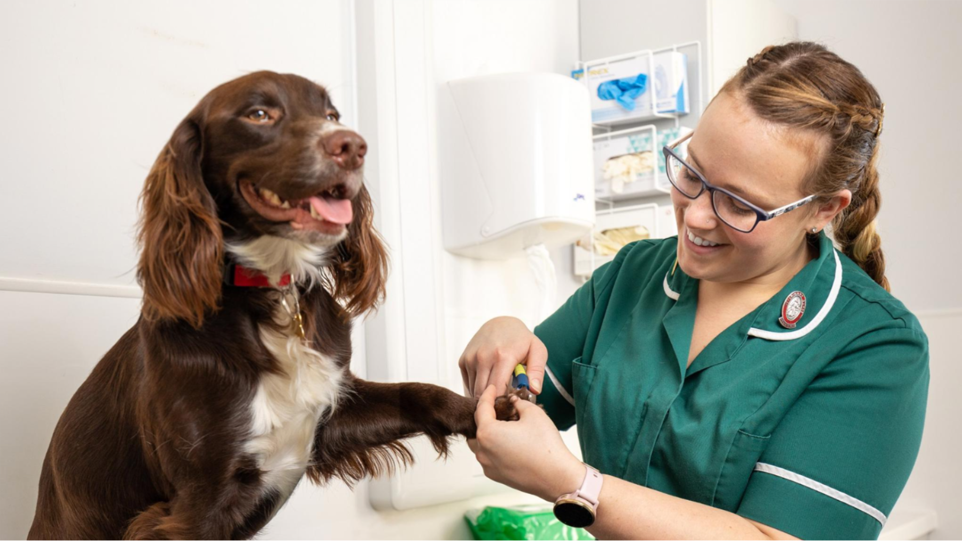 Hartpury veterinary nursing student
