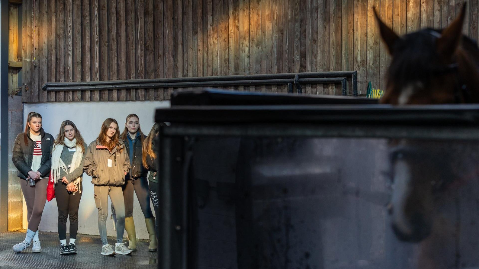 Hartpury University equine facilities