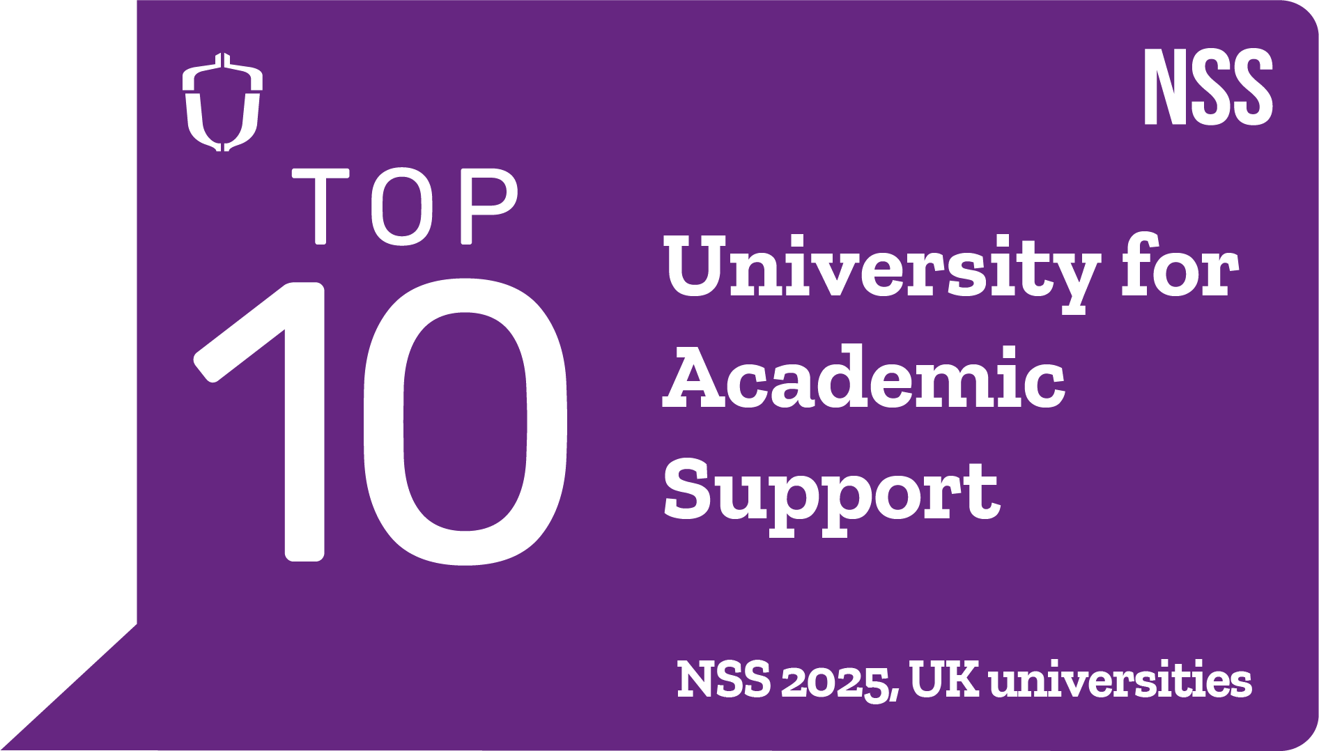 NSS Academic Support